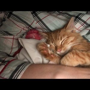 Meet your Posher, Bethany